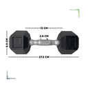 Par de mancuernas hexagonales 10 Libras Wod Pro