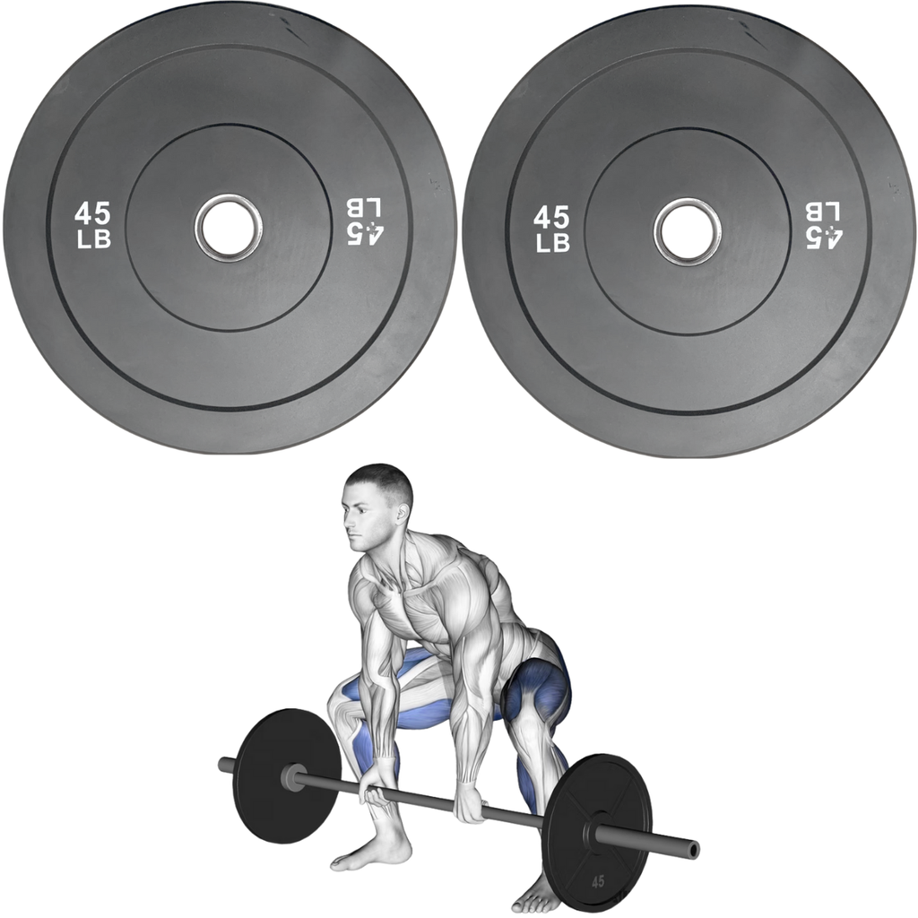 Par de bumpers rígidos 45 lb IronFit