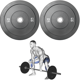 [W000027706] Par de Discos Bumper Rígidos IronFit de 35 Lbs