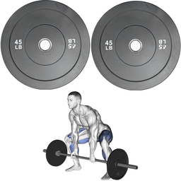 [W000027707] Par de Discos Bumper Rígidos IronFit de 45 Lbs