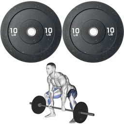 [W000027713] Par de Discos Bumper High Temp IronFit de 10 Lbs
