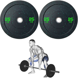 [W000027715] Par de Discos Bumper High Temp IronFit de 25 Lbs
