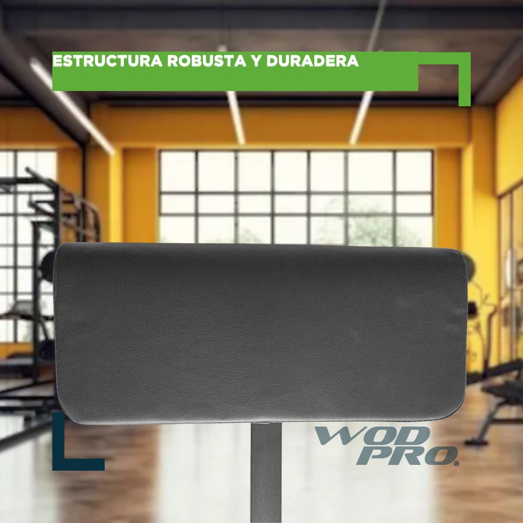 Sissy Squat Wod Pro uso doméstico