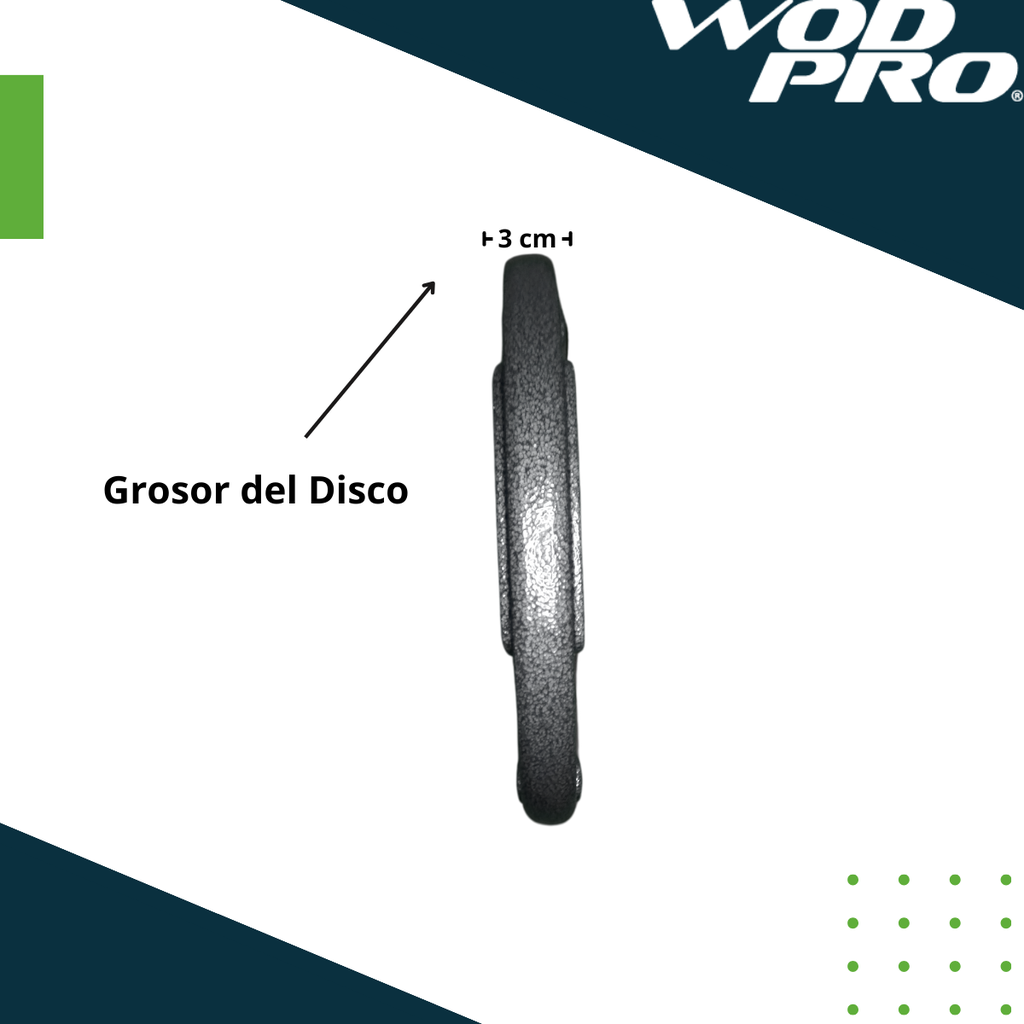 Par de discos de acero 10 kg Wod Pro