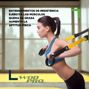 Banda de suspensión Wod Pro