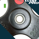 Par de discos estándar 1" 10 kg recubiertos Wod Pro