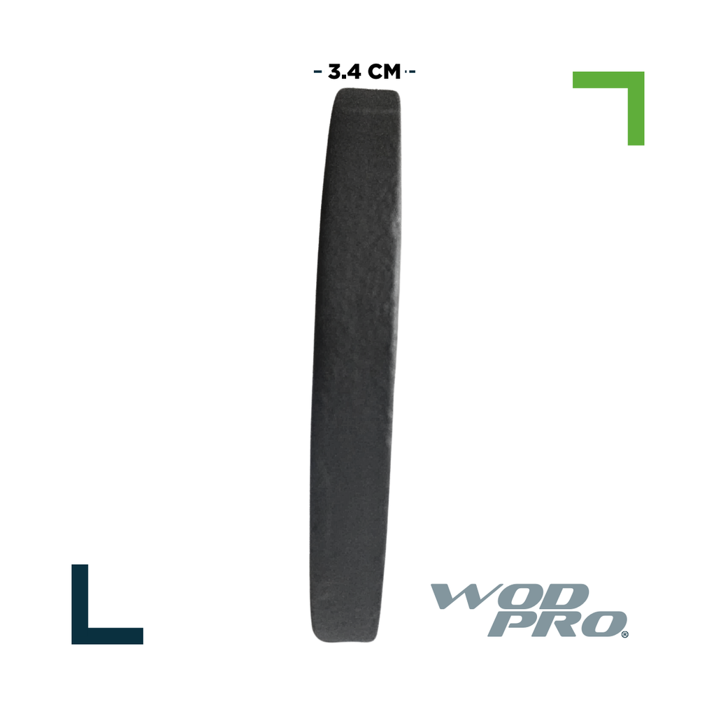 Par de discos de acero negro 10 kg Wod Pro