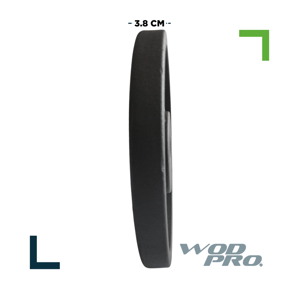 Par de discos de acero negro 20 kg Wod Pro