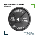 Par de discos de acero negro 20 kg Wod Pro