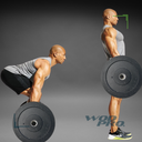 Par de Discos Bumper High Temp IronFit de 15 Lbs