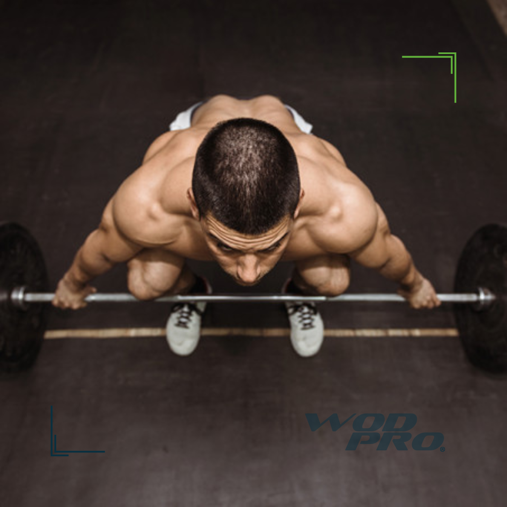 Par de Discos Bumper High Temp IronFit de 15 Lbs