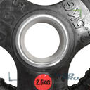 Par de Discos Recubiertos 2" IronFit de 10 kg