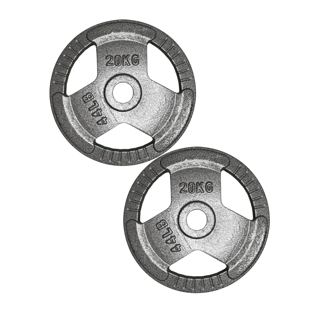 Par de discos de acero 20 kg Wod Pro