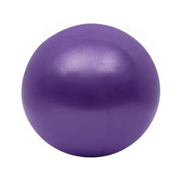 [W000017017] Pelota para yoga 25 cm Wod Pro