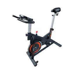 [W000023698] Bicicleta de spinning RR151Y RagnaRök