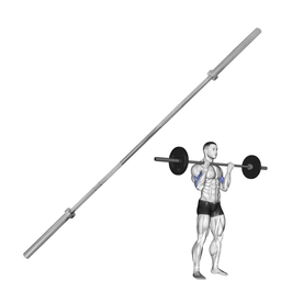 [W000027146] Barra Semi-olímpica IronFit 1.8m 11.8kg Plateada