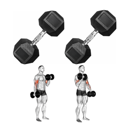[W000027165] Par de Mancuernas Hexagonales IronFit 30 Lbs